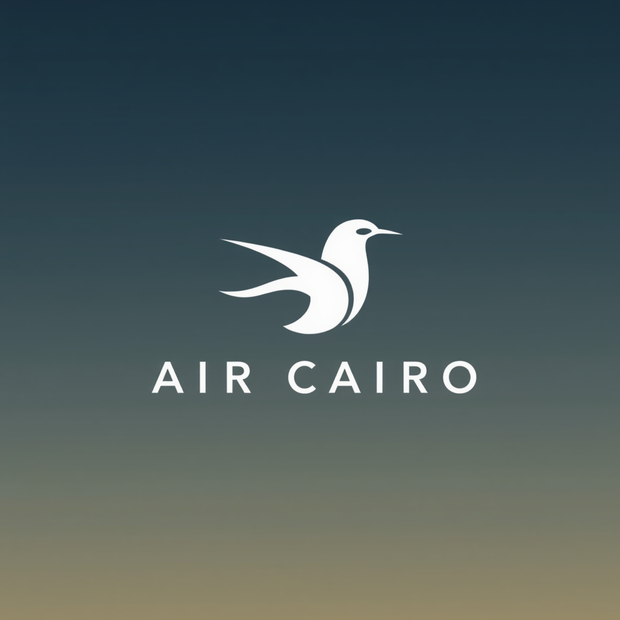 Aircairo Aircairo